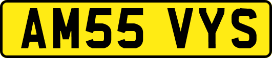 AM55VYS