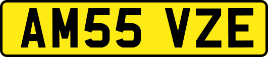 AM55VZE