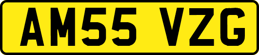 AM55VZG