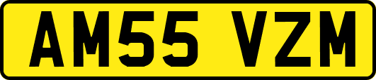AM55VZM