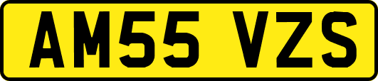 AM55VZS