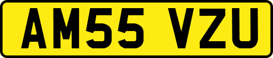 AM55VZU