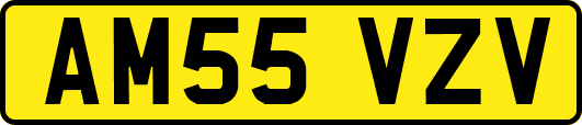 AM55VZV