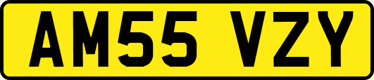 AM55VZY
