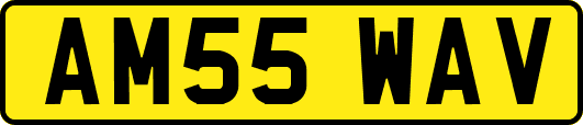 AM55WAV