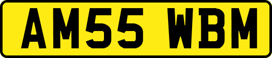 AM55WBM