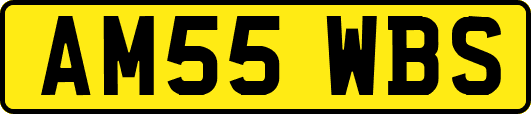 AM55WBS