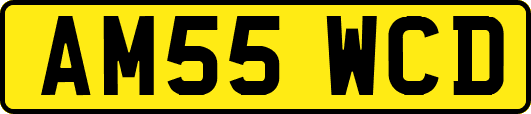 AM55WCD