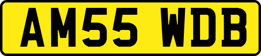 AM55WDB