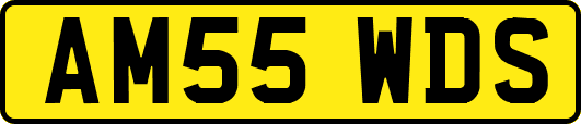AM55WDS