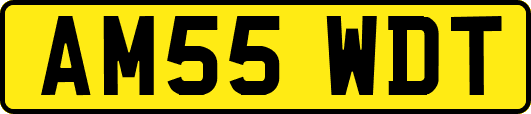 AM55WDT