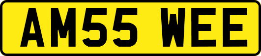 AM55WEE
