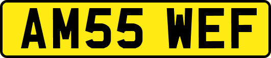 AM55WEF