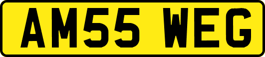 AM55WEG
