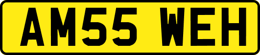 AM55WEH