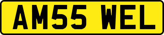 AM55WEL
