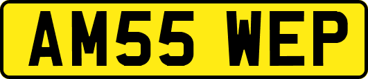AM55WEP