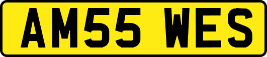 AM55WES