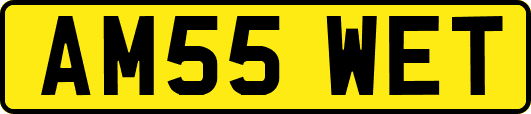 AM55WET