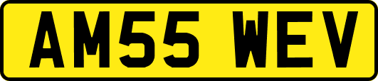 AM55WEV