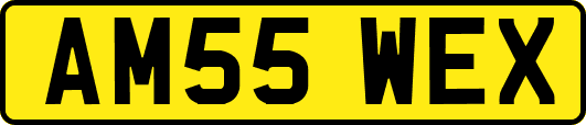 AM55WEX