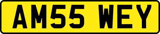 AM55WEY