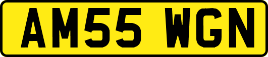 AM55WGN