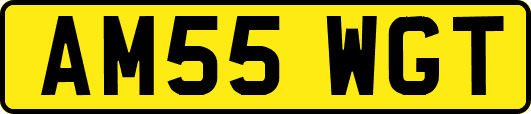 AM55WGT