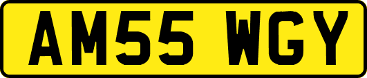 AM55WGY