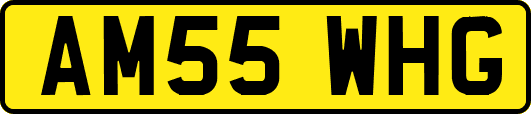 AM55WHG