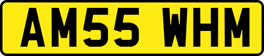 AM55WHM