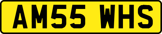 AM55WHS