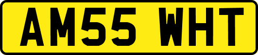 AM55WHT