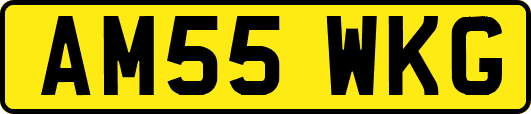 AM55WKG