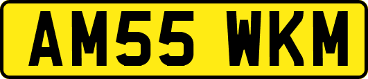 AM55WKM