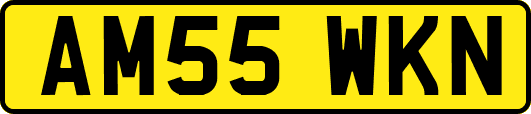 AM55WKN