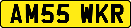 AM55WKR