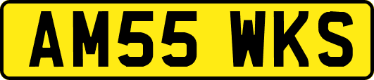 AM55WKS