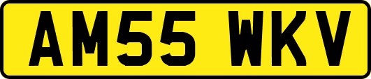 AM55WKV