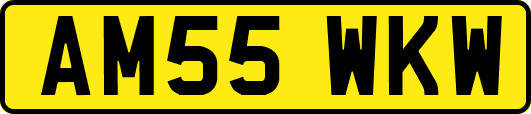AM55WKW
