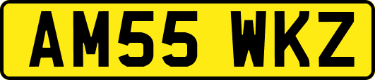 AM55WKZ