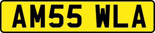 AM55WLA