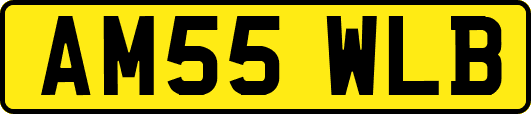 AM55WLB