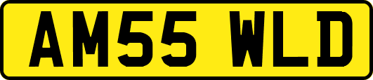 AM55WLD