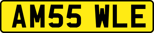 AM55WLE