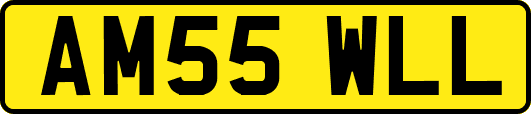 AM55WLL