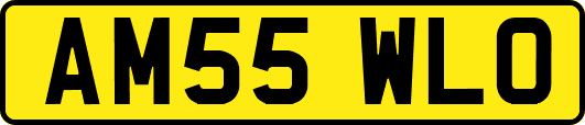 AM55WLO
