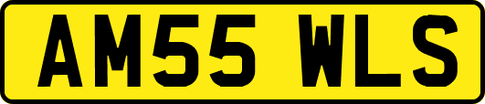AM55WLS