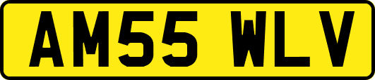 AM55WLV