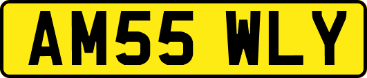 AM55WLY